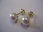 zlaté naušnice s perlou MN 510